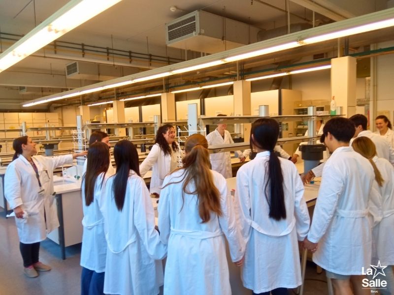 Pràctiques de Química