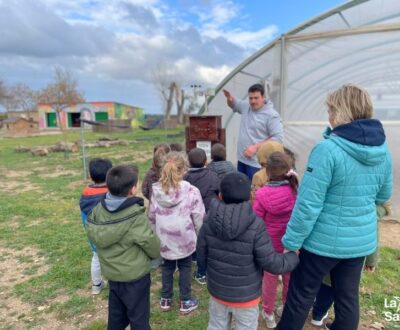 Colònies a La Manreana!