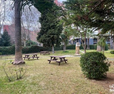 Nou espai al jardí