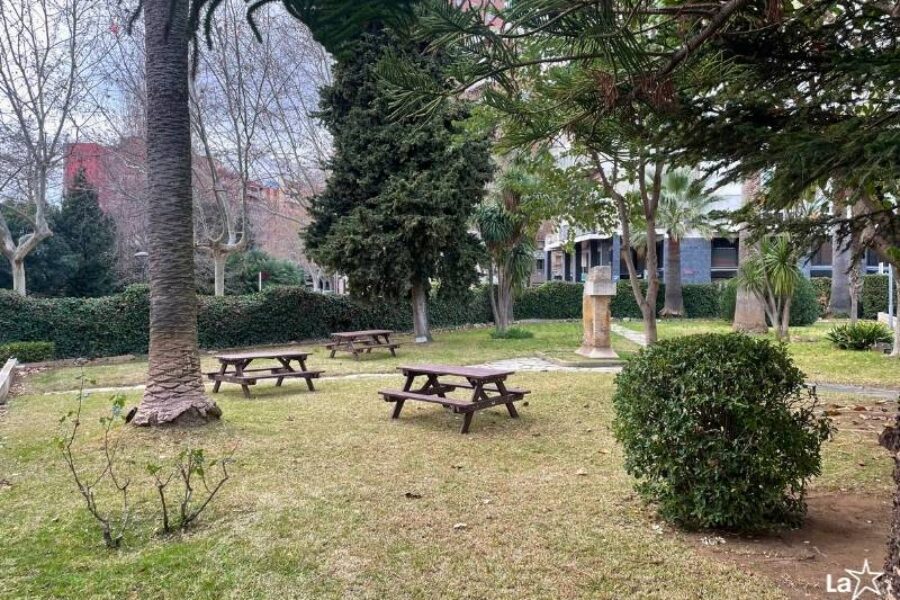 Nou espai al jardí