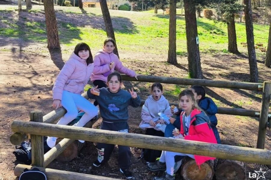 Colònies 4t