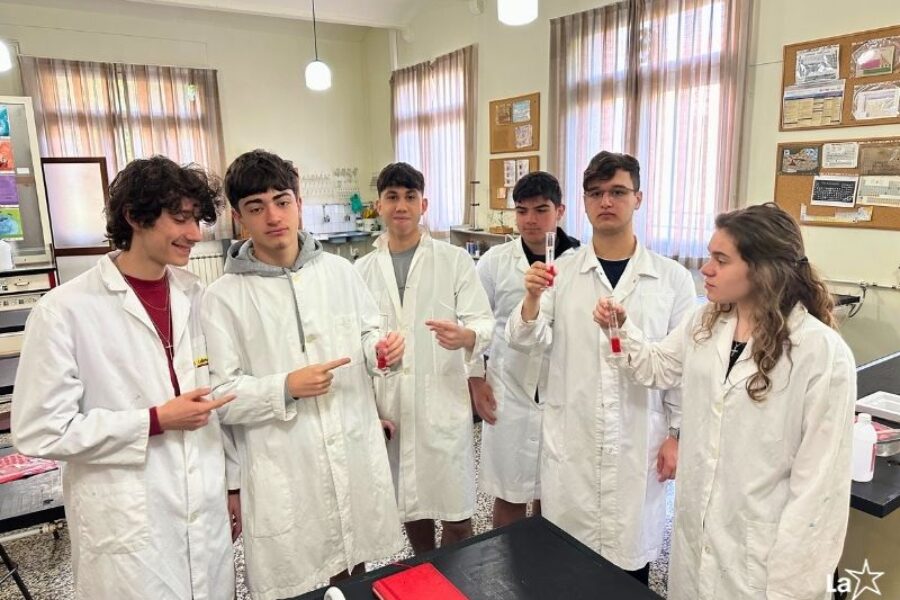 Extracció d'ADN de les maduixes